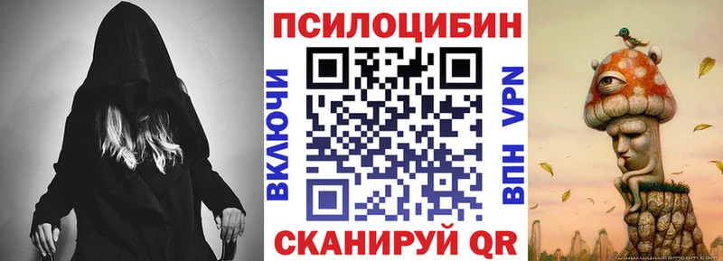 Купить  Андреаполь  Галлюциногенные грибы GOLDEN TEACHER 